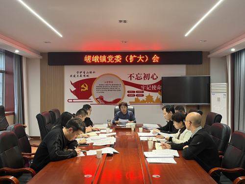 党委（扩大）会