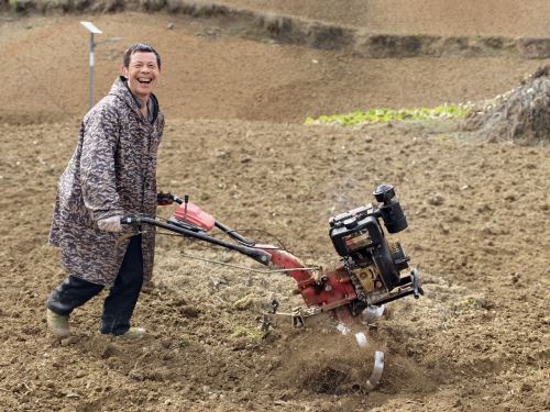 五保户罗清寿正在使用微耕机犁田