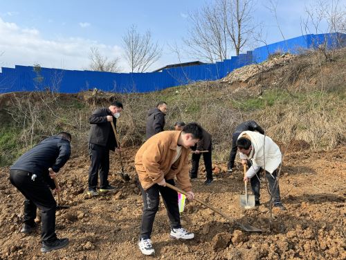 植树现场2 植树现场2