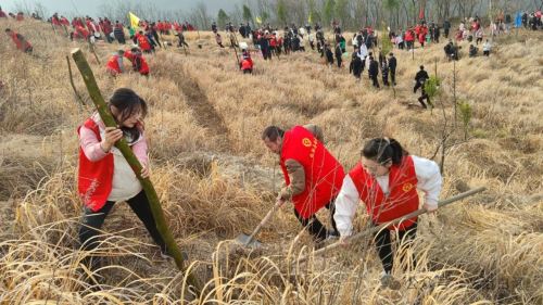 微信图片_20250312113053