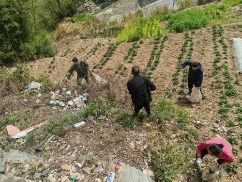 微信图片_20250410174041