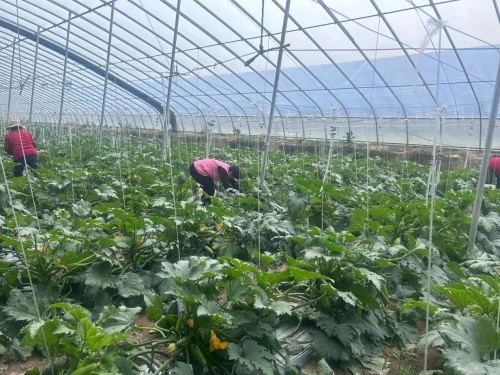 微信图片_20250411093401