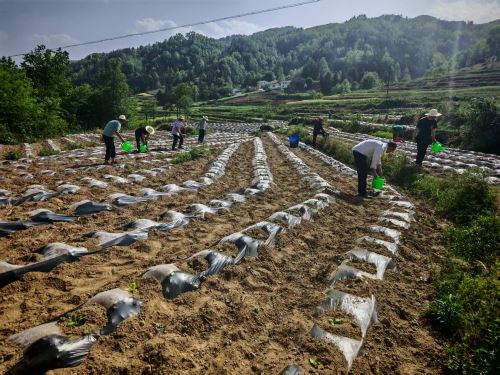 6dd1d78ab1b4131077600112d685328