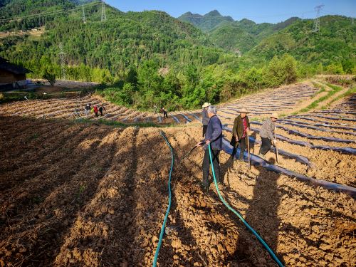 d53d2078b0d86eba9b1dc17d870b8ee