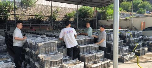 15e7b741228099b818485ad3ef8ec25