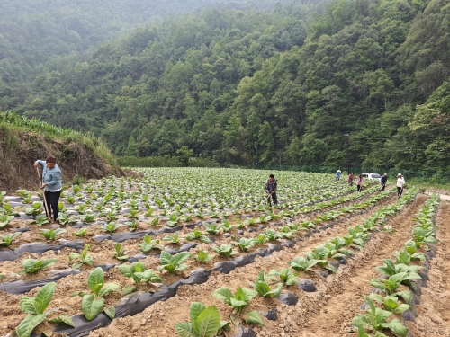 7fd984ab58560408874f1772d040e03