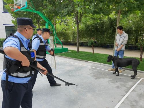 e7b403eea00e4707a11cc16aad1d62e9