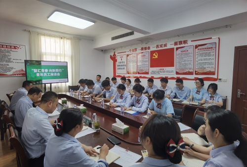 青年员工主题活动照片 (10)