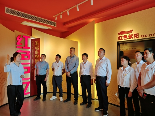 01f8dce3bd3f3bf75cd593f8101ce9e