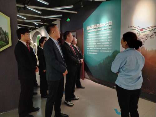 80efc6cb16c4e89ccc31eb7272401d1