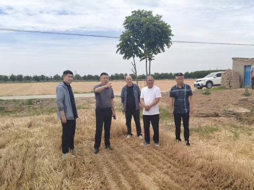 镇长许航查看禁烧防火工作