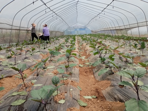 62c6ca50e2c7c4b8981c777bb5382ea