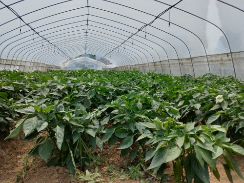 9b7e5977f8f7ed7ee8938fc18bc0700