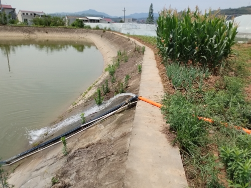 a558d00a891a881b668689e7b01e9ea