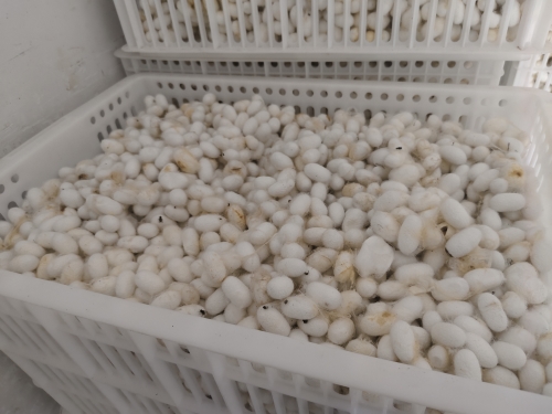 微信图片_20250612222324