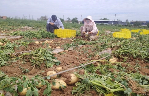 c9714a3c074a48ee83b2a5b8183c3ed5