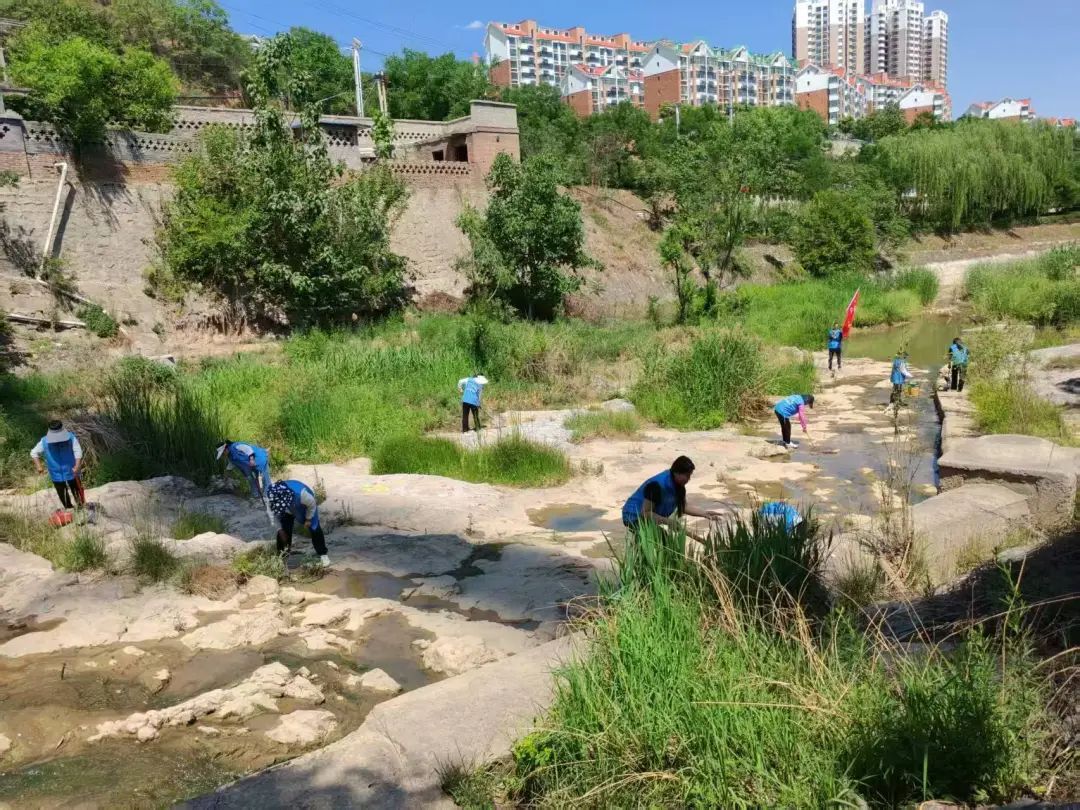 9dcb4baedecc4dad845c7cf82d50a446