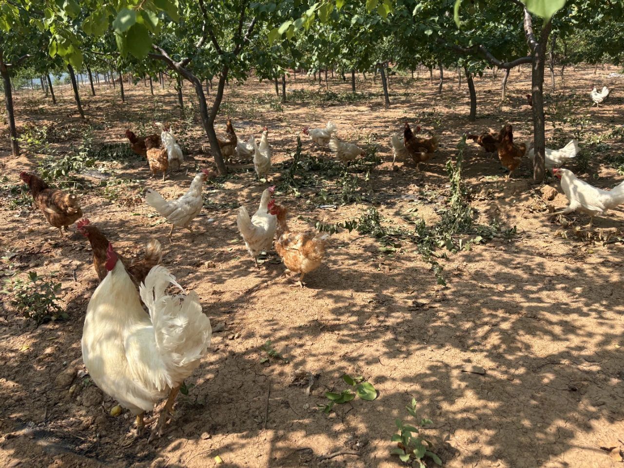 37afc1b68a46415b8032456c2e2895e0