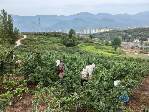 722d9e9084b3456abd13ce6a1f9c8518