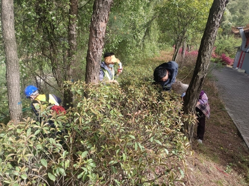 09983729e9ff49a0bfb1f110ac4ab567