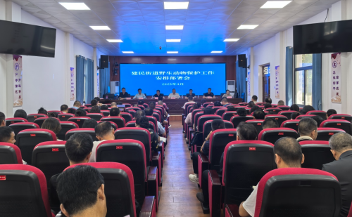 微信图片_20250619101925