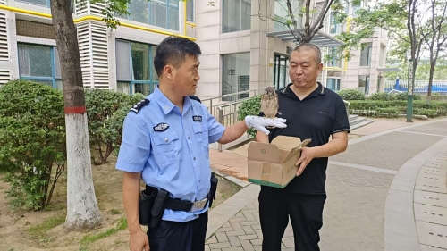 80e87235f68d4fae72a777e80fc06087