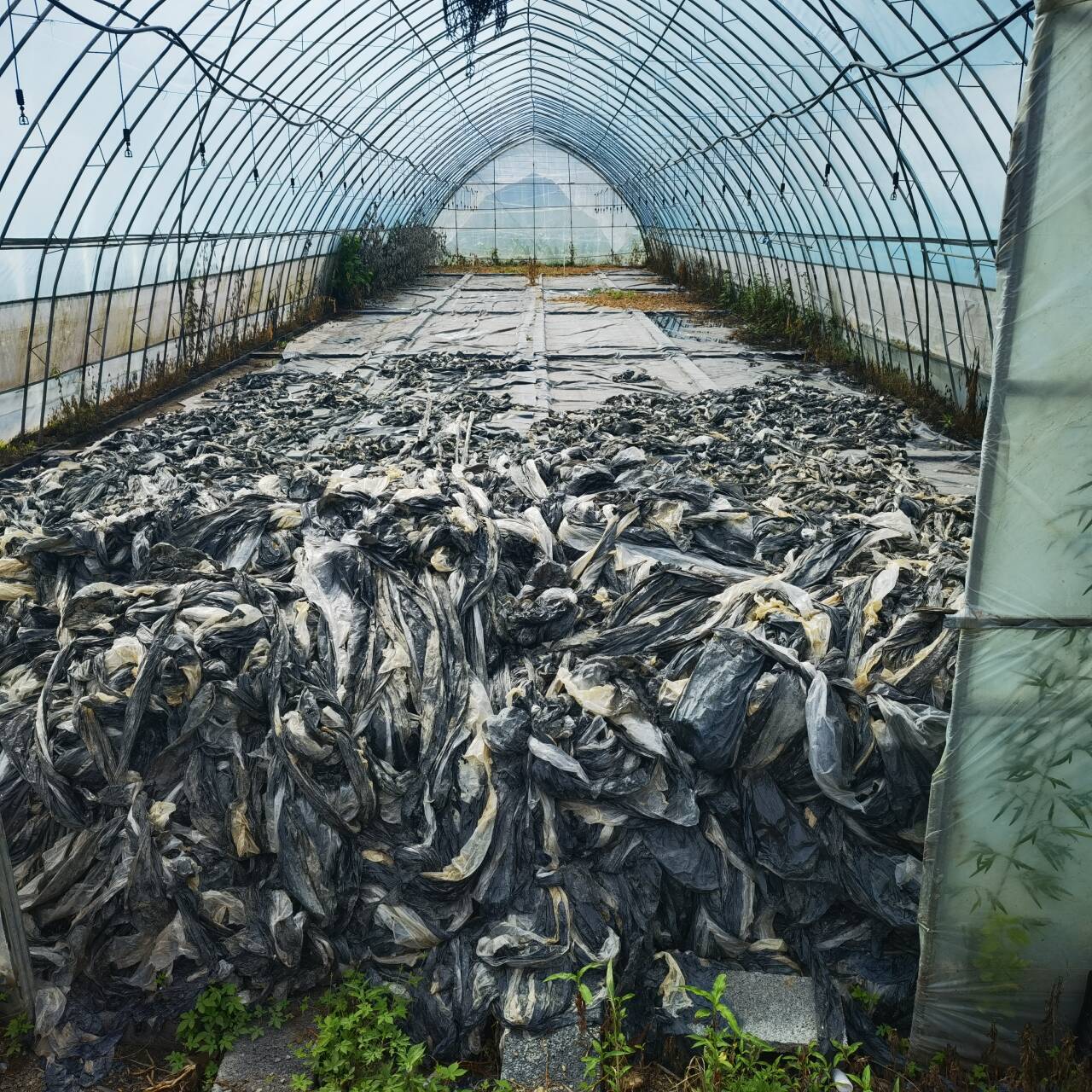 2D8574E8@C23A9B6E 2D8574E8@C23A9B6E