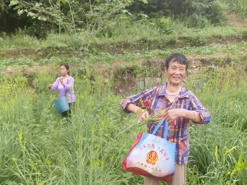 bea066f6db1f868ea80ac309d2f62a6