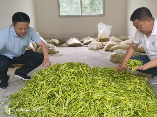 1755ea44d6251868e8b484a475999cf