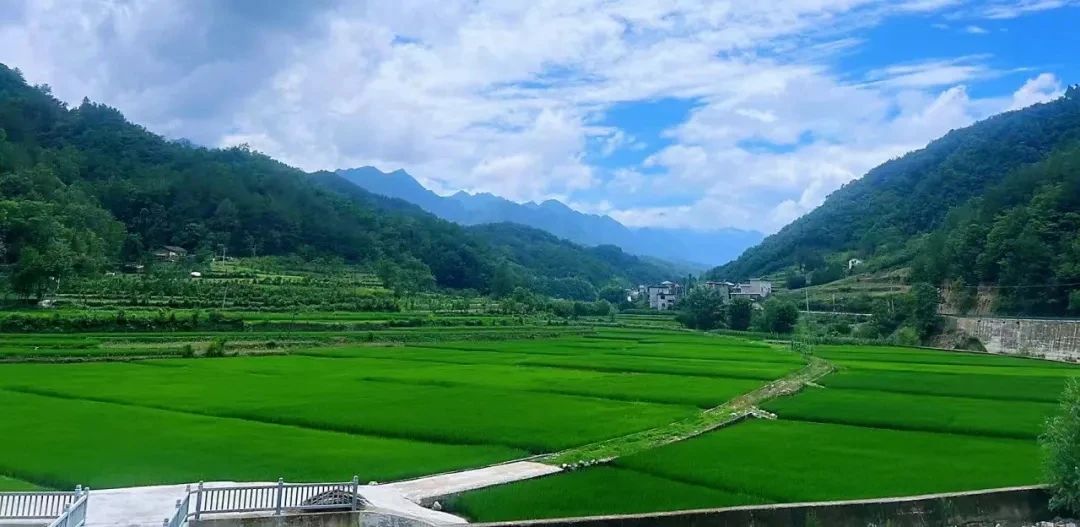 微信图片_20250708152723