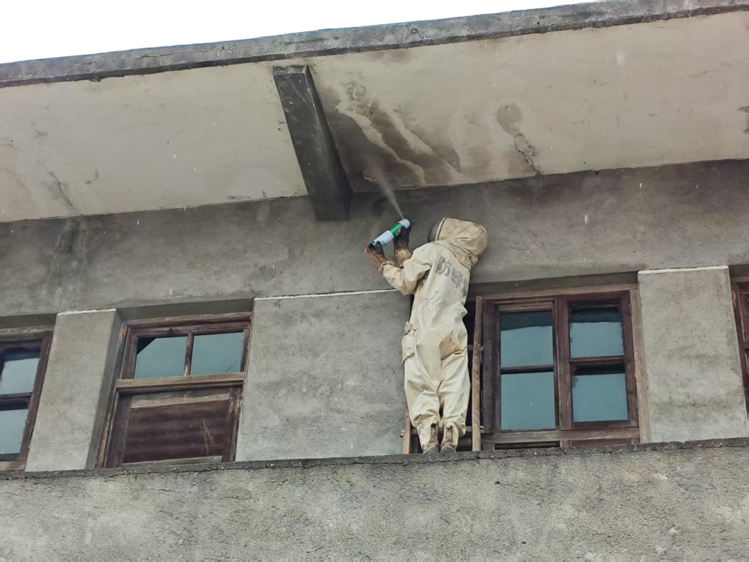 微信图片_20250710145051