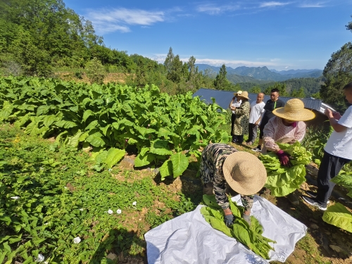 692f94e7afa328b7ebc5fb6e097e114