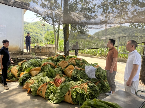 d55fe9eac2ec564c787e73542dfe5b1