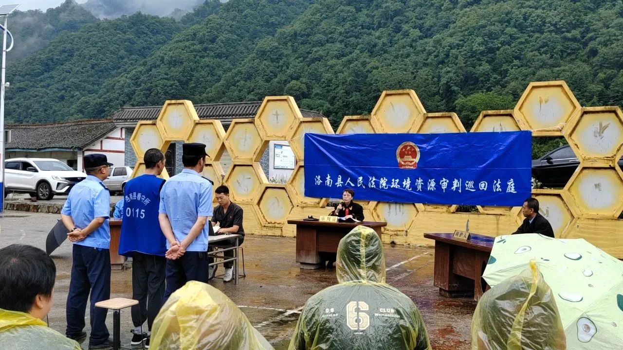 微信图片_20250717163709 微信图片_20250717163709