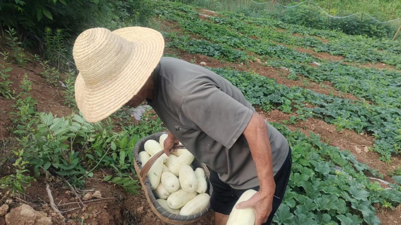 微信图片_20250730224721