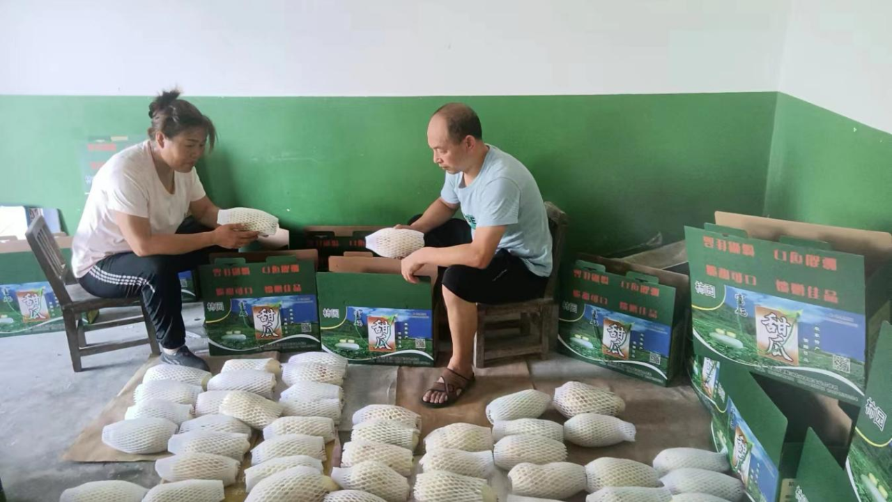 微信图片_20250730224727