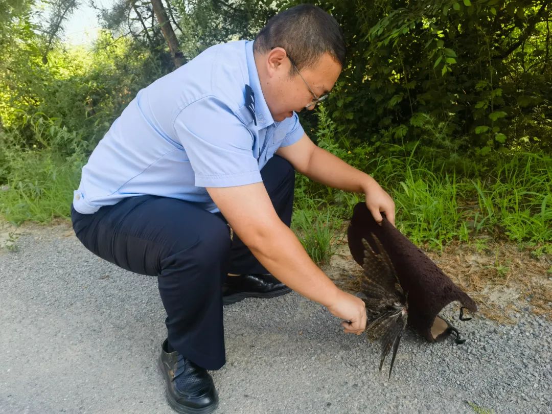 微信图片_20250806144041