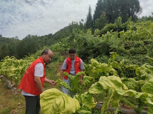 ce67ea15e2072efffc6ac5bba09041b