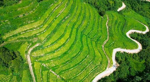 微信图片_20250819093359_13