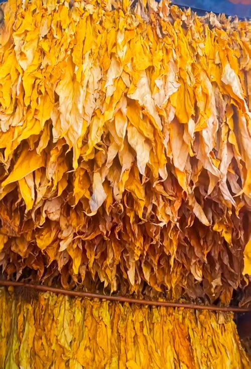 微信图片_20250819093408_8