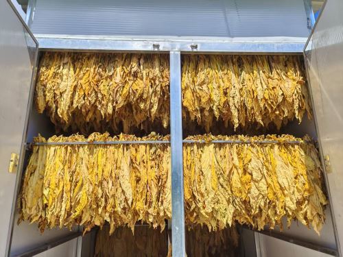 c7774396f64517e2e5a2d3b2f5bd576