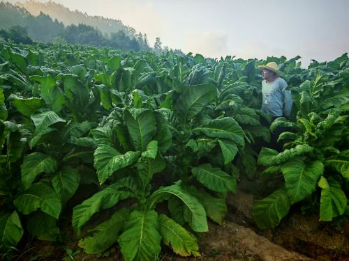 f273fd8be10e6d3c1fd5b94ca04d9a6