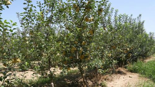 微信图片_2025-08-21_175507_644