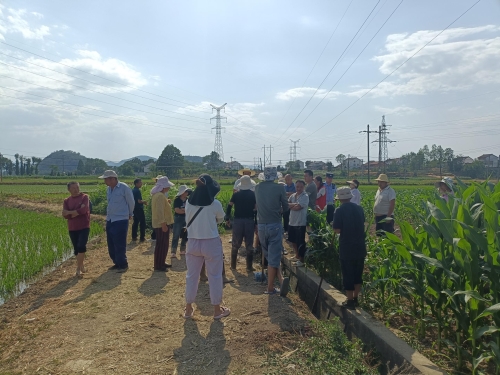 271484ebe242edbb06b14d0a0d840e09_origin(1) 271484ebe242edbb06b14d0a0d840e09_origin(1)