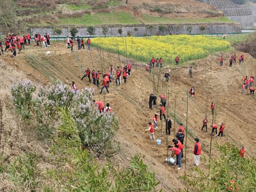 微信图片_20260312150603_563_7