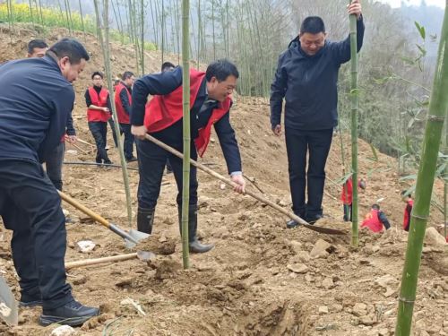 微信图片_20260312144450_388_9