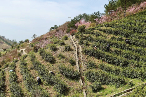 e7890455f2e4475c86a8101c4c6cf797