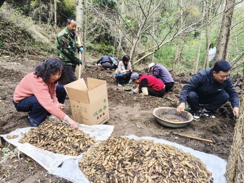 0c934d515c3f4a6c840c874fb0609c91