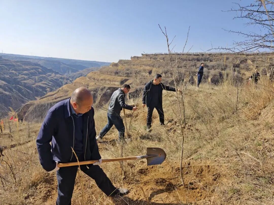 植树添绿践初心 党员先行显担当——洛川法院积极参与全县植树活动