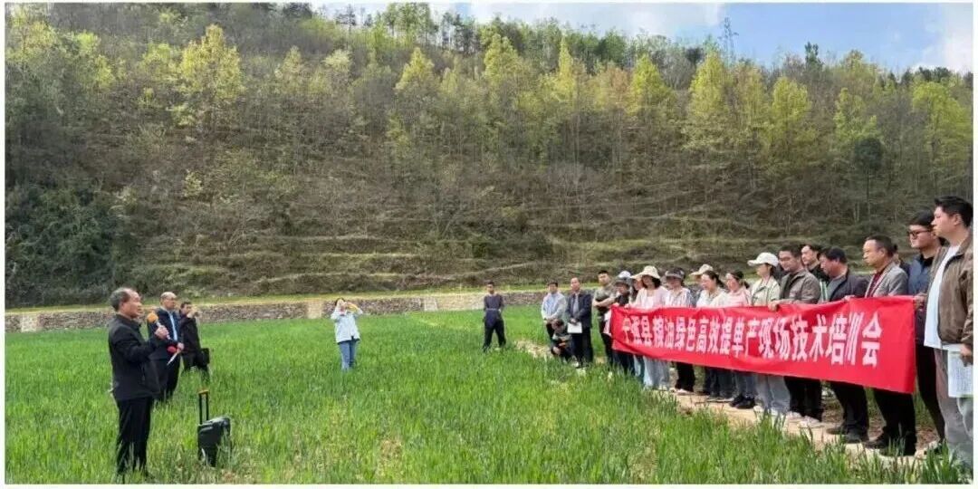 5aede571bee3402fbef9dad20a9aa54c